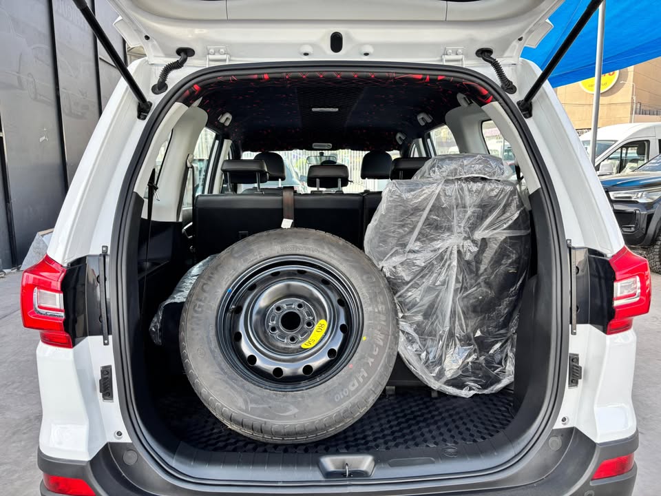 DONGFENG SX6